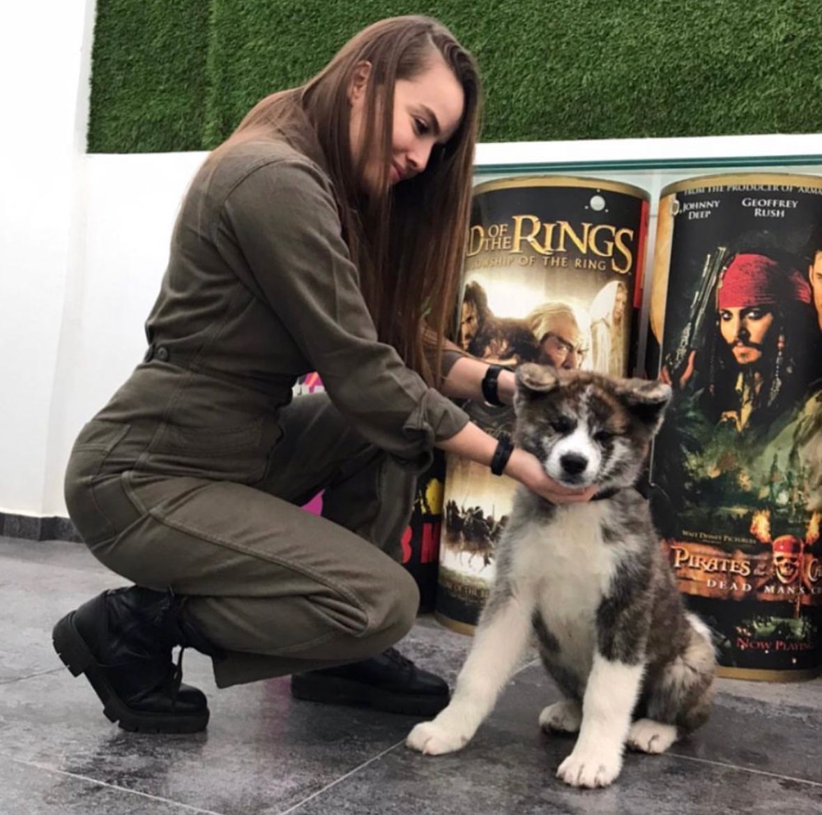 Merhaba Ben Dünyanın En Sadık Köpeği Akita İnu Ronin Merhaba Ben Dünyanın En Sadık Köpeği Akita İnu Ronin